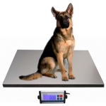 Vet scale KD-AEC 500*500mm