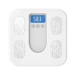 Body Fat Scale,LS-WS107B-S