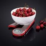 KS-A1310 Kitchen Scale