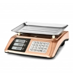 ACS-C63 Price Computing Scale