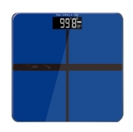 PS-C21K Bathroom Scale